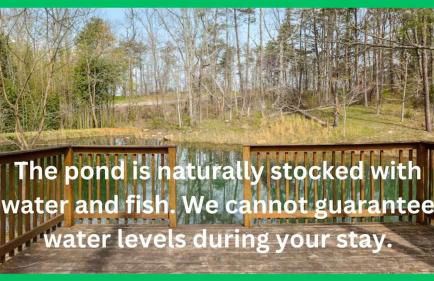 Scenic Solitude at Cabins in the Clouds - Foto 28