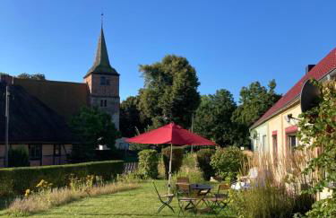 Familiennest am MüritzSee mit Kamin & Sauna - Foto 53