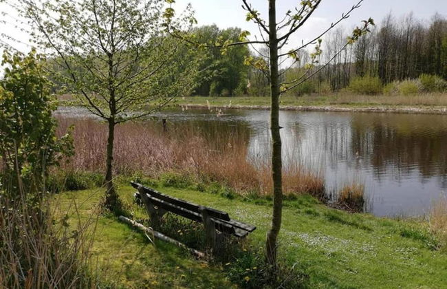 Villa in Bosrijk Near Horsterwold Forest - Photo 39