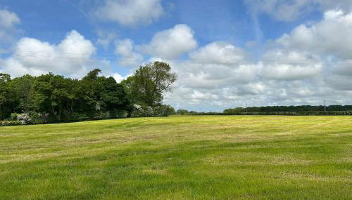 The Stag's Head - Shepherds Hut - Foto 3