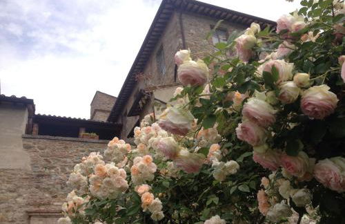 Abbazia Sette Frati Agriturismo Fratres - Foto 54