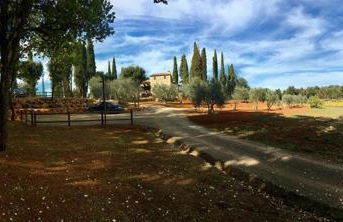 La Tenuta di Castelvecchio - Foto 17