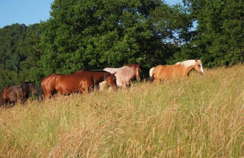 Ferienhäuser Bellana - Foto 12