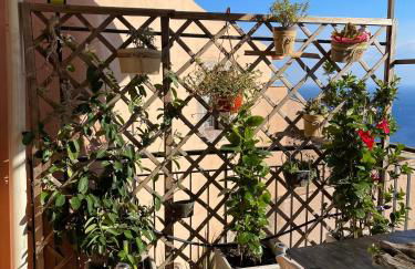 THE SECRET GARDEN - Foto 35