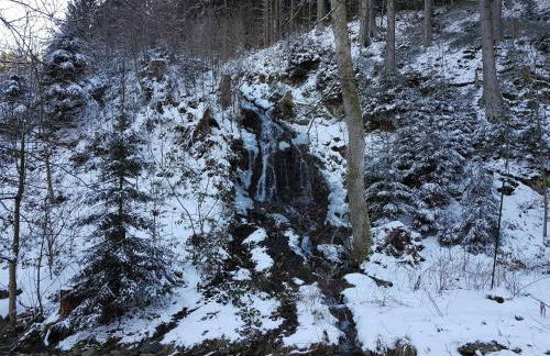 Alpine Escape in Wildemann - Foto 72