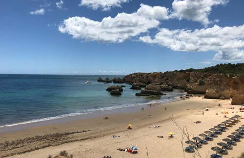 Paraiso vale da ribeira - Foto 33