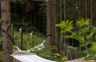 Modry Domek Sznurki Całoroczny Ogrodzony - Foto 19