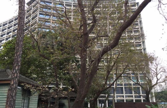 Dongqu Light Inn - Photo 17