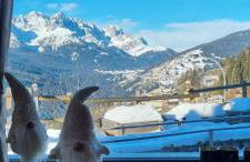 Casa Tiziano e Nila - Photo 50