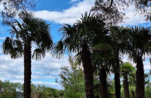 A l'ombre du chêne Piscine & Spa Gîtes Eden en Cévennes à Anduze Gard - Foto 36