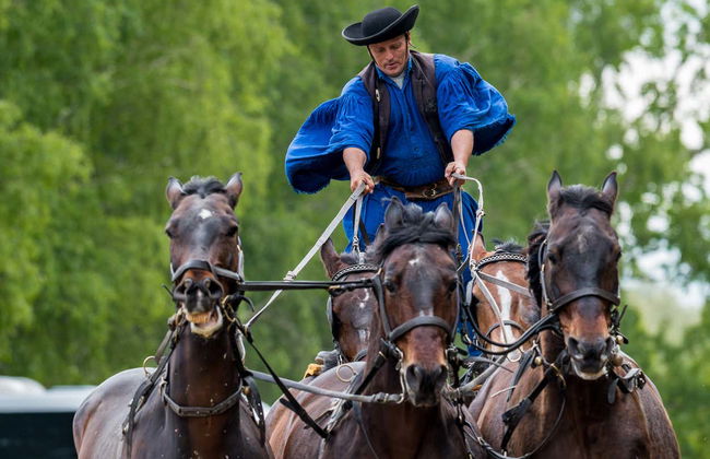 Escursione alla Pusta e spettacolo equestre - Foto 8