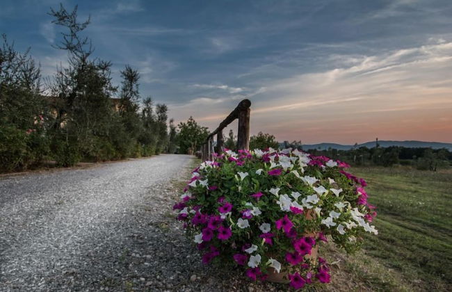 Agriturismo la Torricella - Foto 32