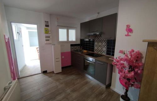 maison pink flamingo aeroport tillé 2 a 4 personnes - Foto 10