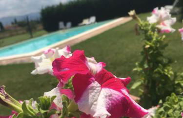 Le Ghiande - Foto 51