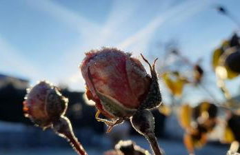 Ferienwohnung Eichkatzel - Foto 60