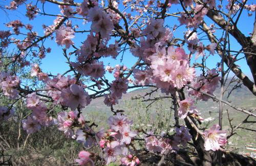 Villa Deluxe Suites Maspalomas - Photo 78