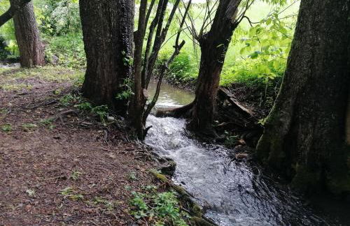 Ferienwohnung "Am Seebach" - Foto 6