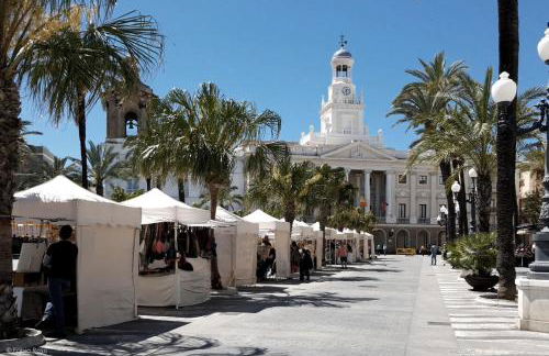 Aire del Sur Cádiz - Foto 31