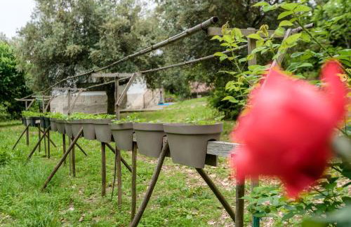 Casa da Eira "Lavoura da Bouça - Fruta Bio" - Foto 67