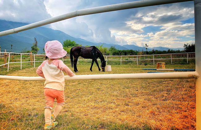 DALI Jade house - Foto 47