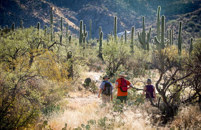 Tanque Verde Ranch - Photo 74