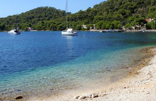 Apartments by the sea Pasadur, Lastovo - 8351 - Foto 27