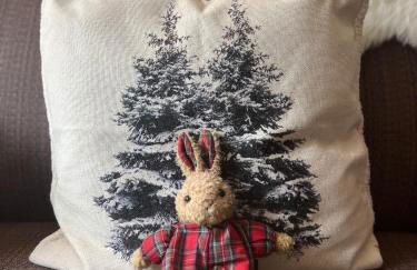 Adamello Verde Holiday Apartment - Foto 5