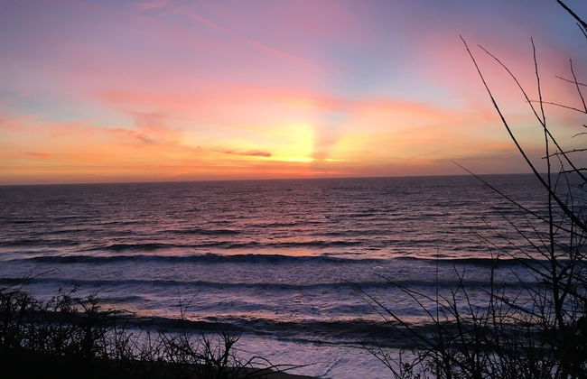 Fern Cottage Yoxford Suffolk - Whole House - Foto 43