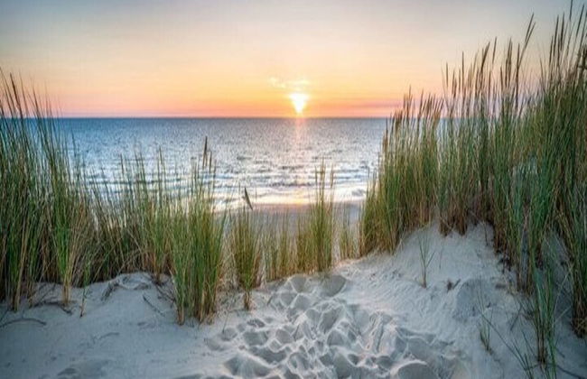 Bungalow in Veluwe Near Harderwijk - Photo 39