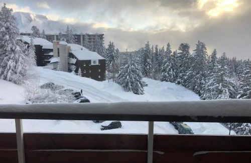 Charmant studio cabine COSY à 100 m des pistes - Foto 21