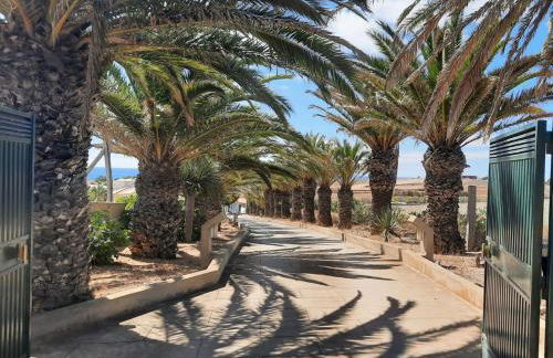 Quintinha das Lombas - Foto 12