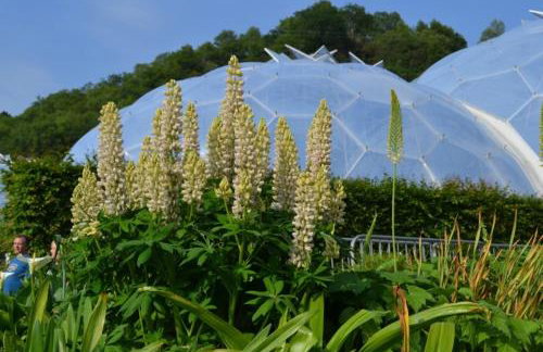 Luxury Home on Maenporth Estate Next to the Beach - Foto 33