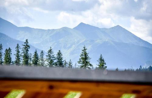 Domki Wiśta Wio - Foto 41