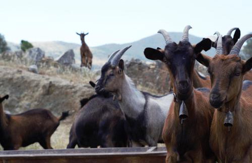 Atalia Apartment, Orne Crete - Foto 23