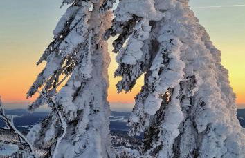 Ferienhaus Florian - Foto 12