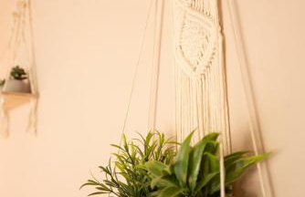 Glykorizo Country Villa, Assos Corinthia - Foto 7