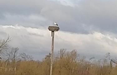 Das kleine Lavendelhaus - Foto 37