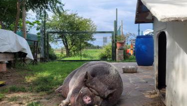 La casa di Bruno - Foto 4