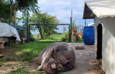 La casa di Bruno - Photo 4