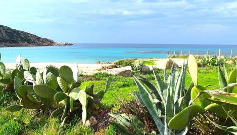 Résidence Fioravanti Villas Valinco - Foto 4