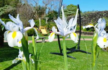 Quinta dos Sentidos Eco Nature Retreat in Azores - Photo 63