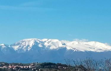 Flora house - Foto 32