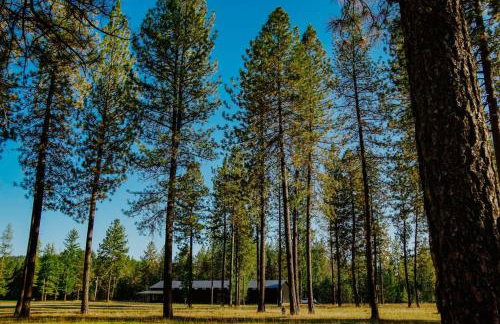 Luxe Nordic Barndominium Retreat at Black Pine - Foto 6