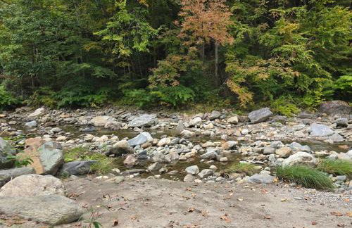 The Cardinal Lodge- A Riverside Retreat - Foto 38