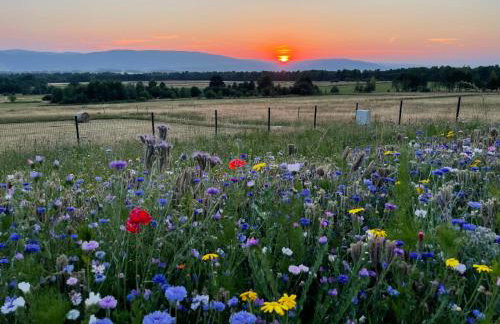 Samsara Domek koło Międzygórza Z sauną i klimatyzacją - Foto 14