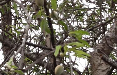 Casa Nomada's - Foto 19