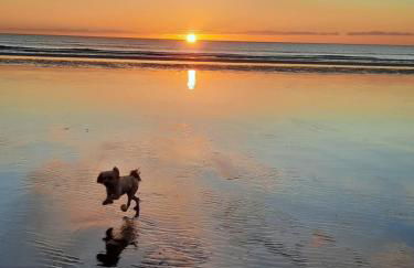 Wendon Holidays - Photo 38