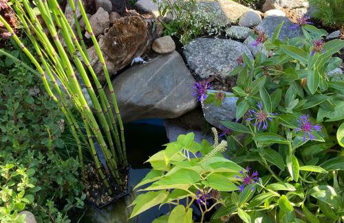 2bed Cabin w/ Parking Near Snowdonia National Park - Photo 61