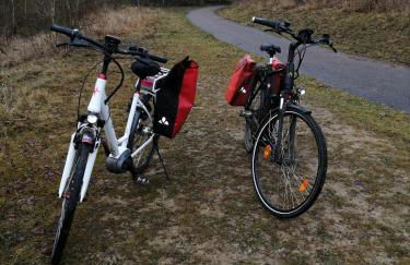 Ferienhaus am See mit Ruderboot - Photo 46