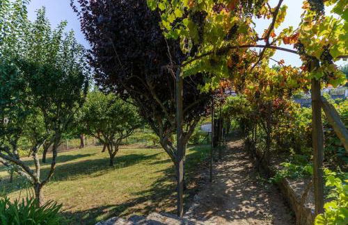 Quinta de Villa Franca - Douro - Foto 26